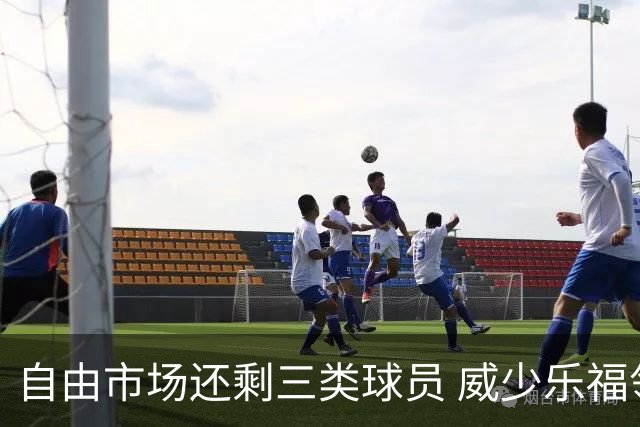 自由市场还剩三类球员 威少乐福领衔失业大军？